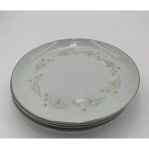 Dinner plate summit fine China Japan dream set of 4